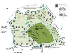 ECOS 37-2-47 HIGH RES article 8 Priors wood image