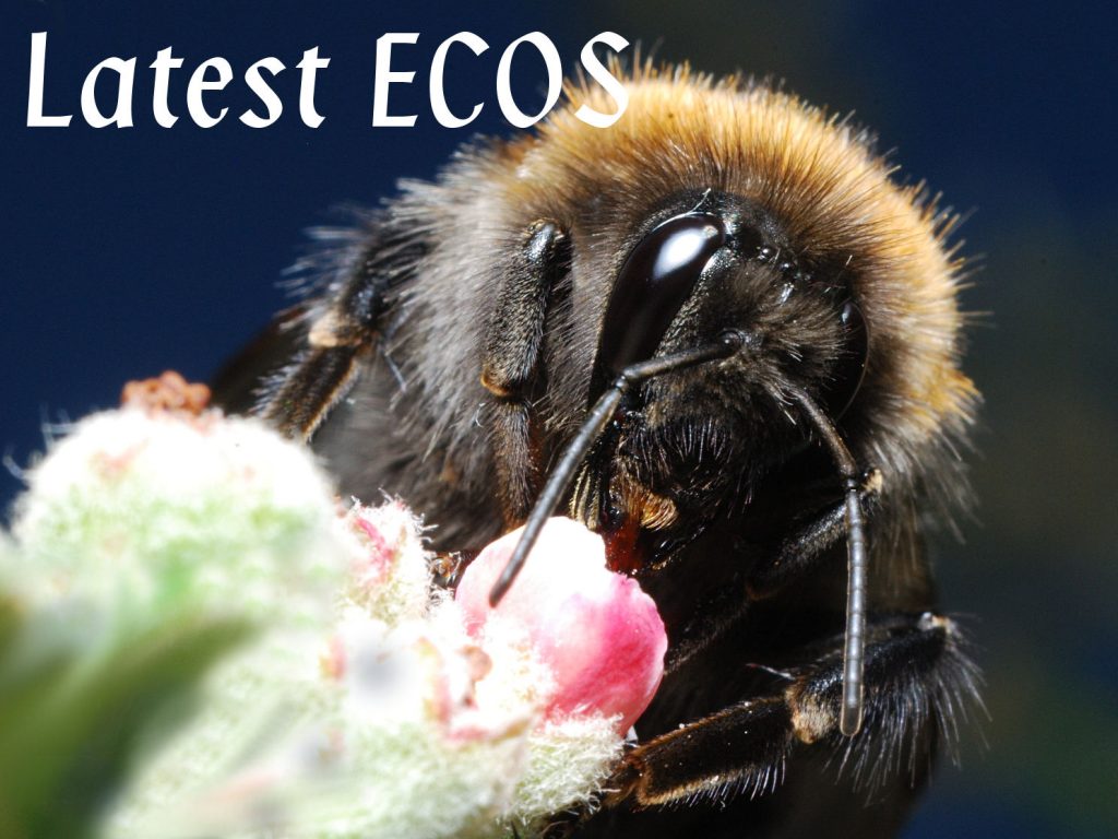 ECOS – Challenging Conservation